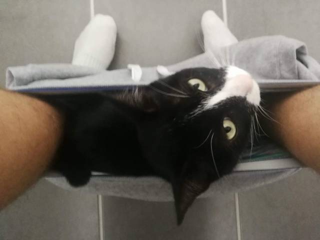 daily picdump 109 pics 45.html - 109 HD Photos | Premium Gallery 2018