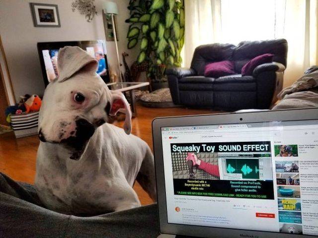 daily picdump 109 pics 45.html - 109 HD Photos | Premium Gallery 2018