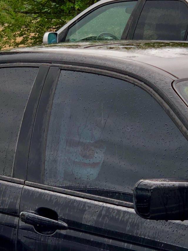 daily picdump 109 pics 45.html - 109 HD Photos | Premium Gallery 2018