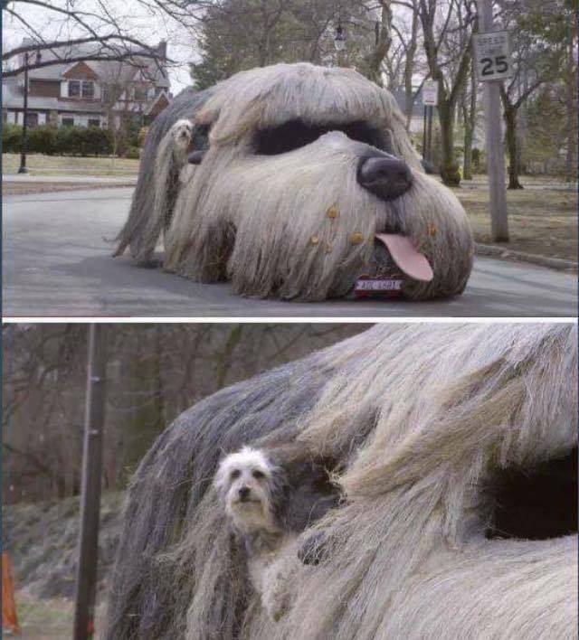 daily picdump 109 pics 45.html - 109 HD Photos | Premium Gallery 2018