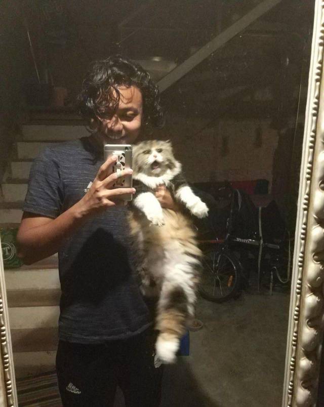 daily picdump 109 pics 45.html - 109 HD Photos | Premium Gallery 2018