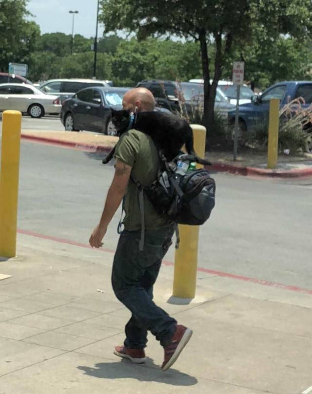 daily picdump 109 pics 45.html - 109 HD Photos | Premium Gallery 2018