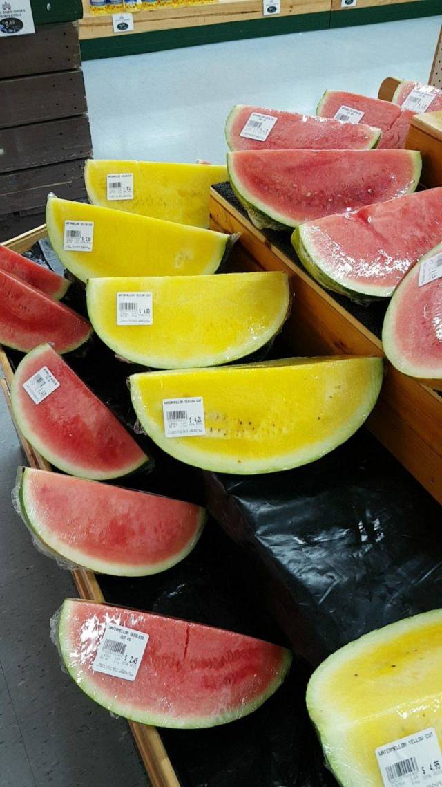 daily picdump 109 pics 45.html - 109 HD Photos | Premium Gallery 2018