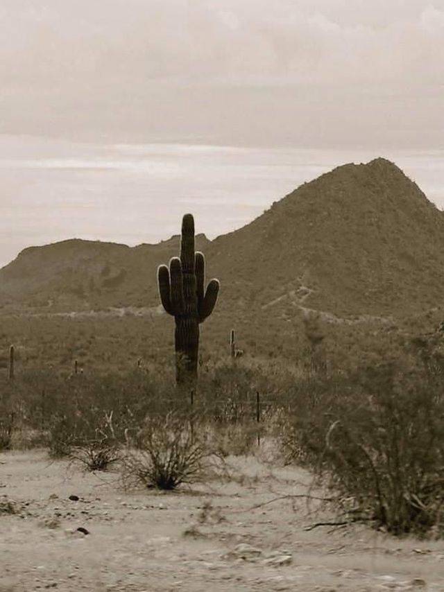 daily picdump 109 pics 45.html - 109 HD Photos | Premium Gallery 2018