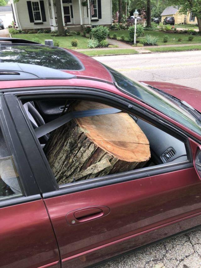 daily picdump 109 pics 45.html - 109 HD Photos | Premium Gallery 2018