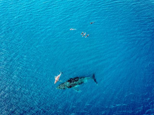 daily picdump 101 pics 2.html - 101 HD Photos | Premium Gallery 2018