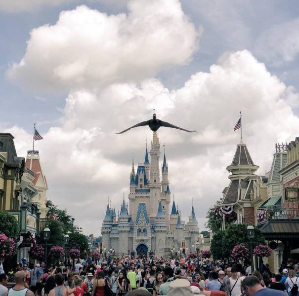 daily picdump 101 pics 2.html - 101 HD Photos | Premium Gallery 2018