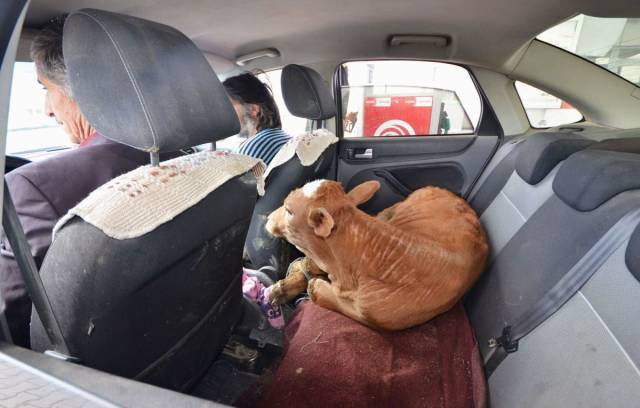 daily picdump 101 pics 2.html - 101 HD Photos | Premium Gallery 2018