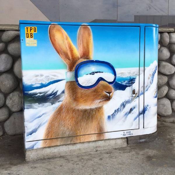 daily picdump 101 pics 2.html - 101 HD Photos | Premium Gallery 2018