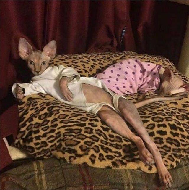 daily picdump 101 pics 2.html - 101 HD Photos | Premium Gallery 2018