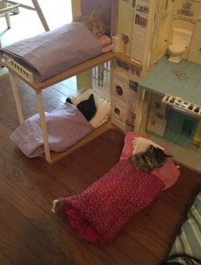 daily picdump 101 pics 2.html - 101 HD Photos | Premium Gallery 2018