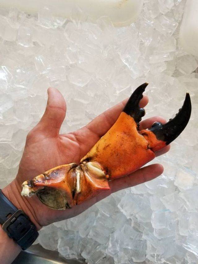 daily picdump 101 pics 2.html - 101 HD Photos | Premium Gallery 2018