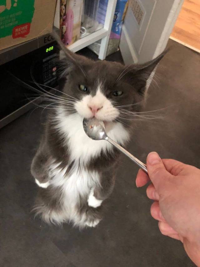 daily picdump 101 pics 2.html - 101 HD Photos | Premium Gallery 2018