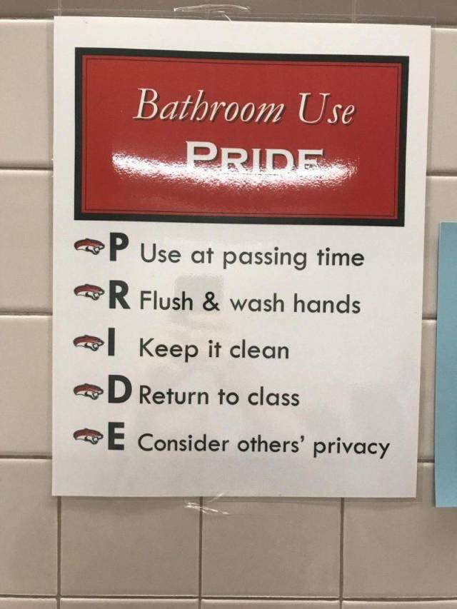 daily picdump 101 pics 2.html - 101 HD Photos | Premium Gallery 2018