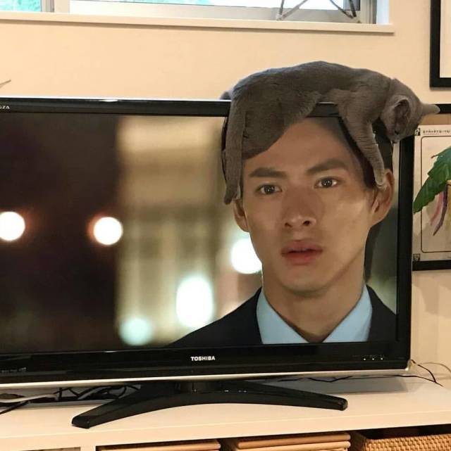 daily picdump 101 pics 2.html - 101 HD Photos | Premium Gallery 2018