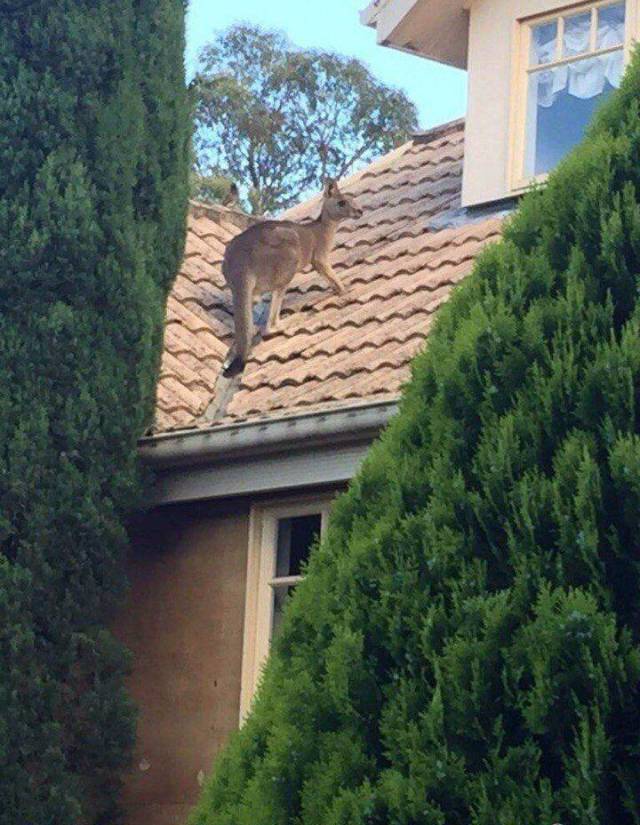 daily picdump 101 pics 2.html - 101 HD Photos | Premium Gallery 2018