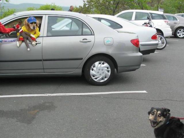 Don’t Be Jealous – It’s Too Obvious