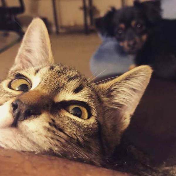 Don’t Be Jealous – It’s Too Obvious