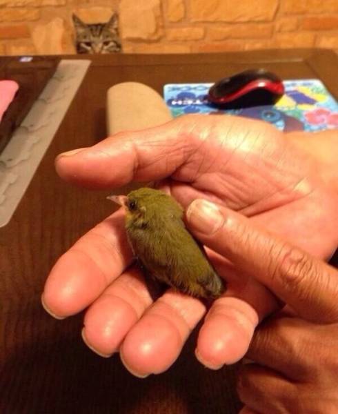 Don’t Be Jealous – It’s Too Obvious