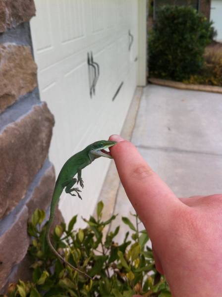 morning picdump 50 pics 14.html - 50 HD Photos | Premium Gallery 2018