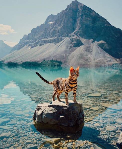 page,2,top 250 morning pics of the year 2018.html - 1 HD Photos | Premium Gallery 2018