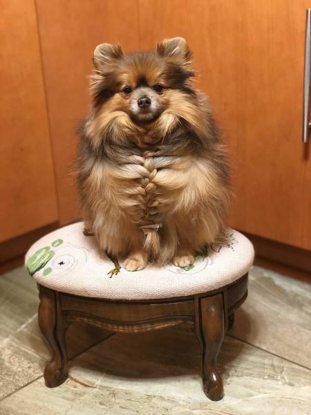 morning picdump 50 pics 14.html - 50 HD Photos | Premium Gallery 2018