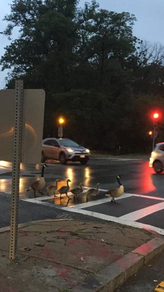 morning picdump 50 pics 14.html - 50 HD Photos | Premium Gallery 2018