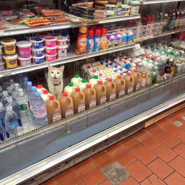 morning picdump 50 pics 14.html - 50 HD Photos | Premium Gallery 2018