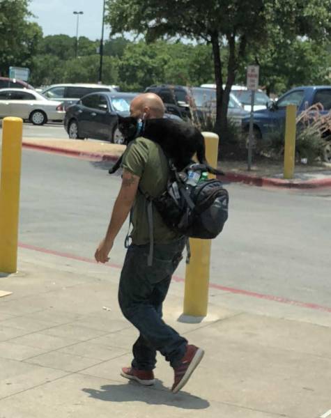 morning picdump 50 pics 14.html - 50 HD Photos | Premium Gallery 2018