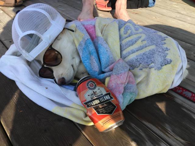 morning picdump 50 pics 14.html - 50 HD Photos | Premium Gallery 2018