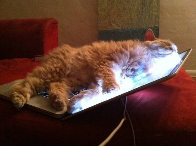 Daily Picdump