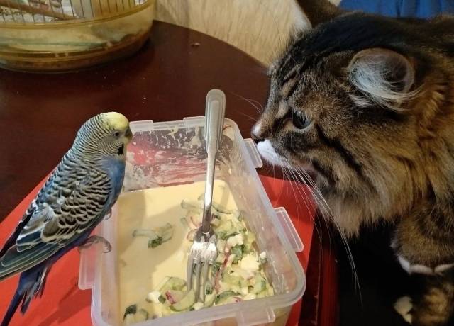Daily Picdump