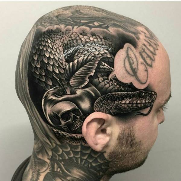 daily picdump 99 pics 39.html - 99 HD Photos | Premium Gallery 2018