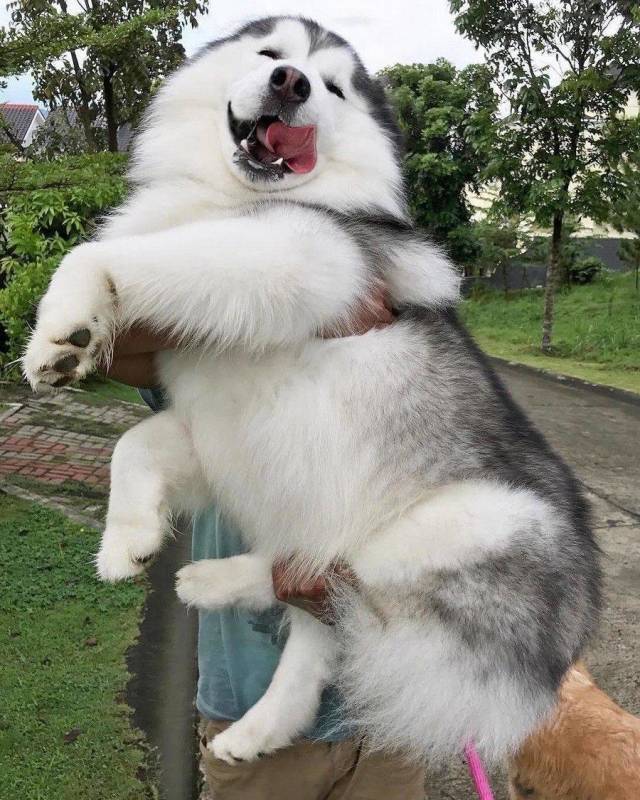 daily picdump 99 pics 39.html - 99 HD Photos | Premium Gallery 2018