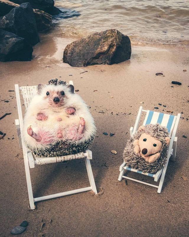 daily picdump 99 pics 39.html - 99 HD Photos | Premium Gallery 2018