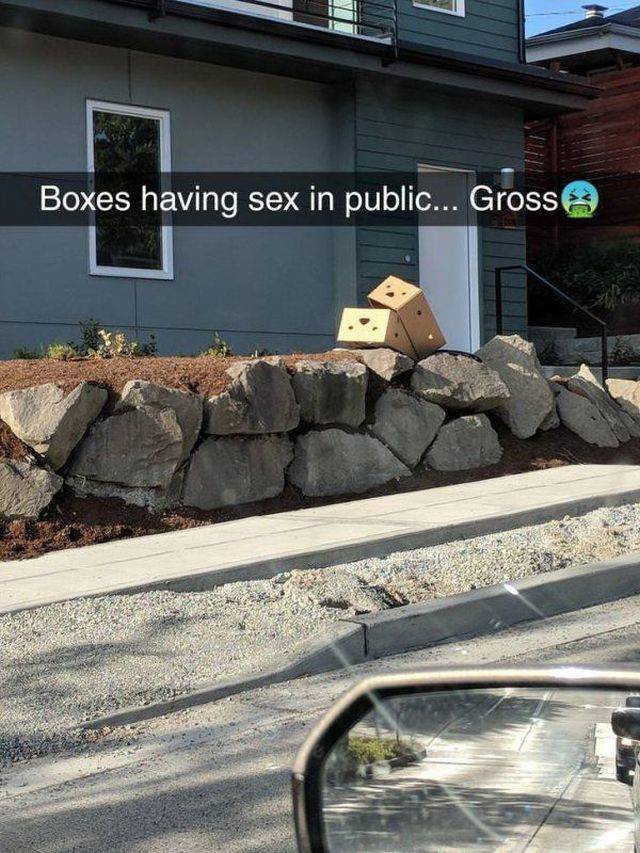 daily picdump 99 pics 39.html - 99 HD Photos | Premium Gallery 2018