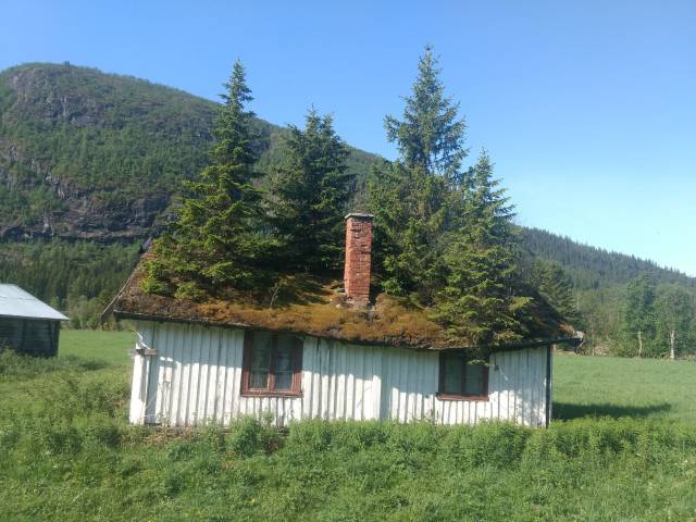 morning picdump 53 pics 38.html - 53 HD Photos | Premium Gallery 2018