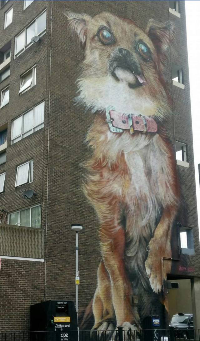 morning picdump 53 pics 38.html - 53 HD Photos | Premium Gallery 2018