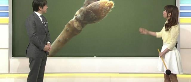 daily picdump 101 pics 9.html - 101 HD Photos | Premium Gallery 2018