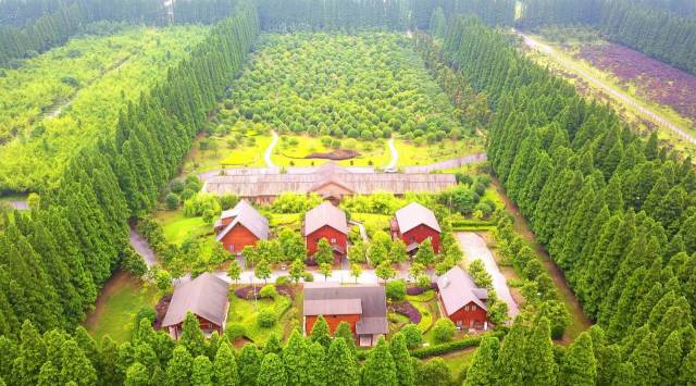 daily picdump 101 pics 9.html - 101 HD Photos | Premium Gallery 2018