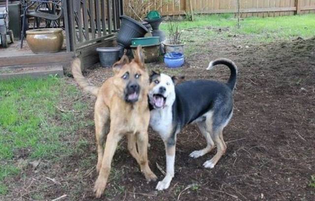 daily picdump 101 pics 9.html - 101 HD Photos | Premium Gallery 2018