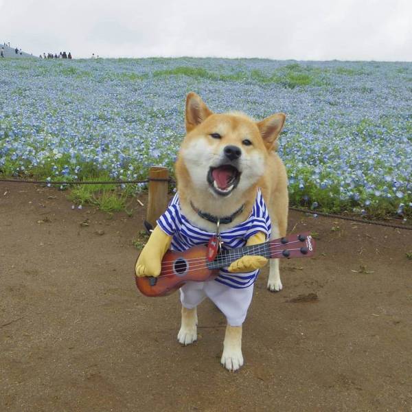 daily picdump 101 pics 9.html - 101 HD Photos | Premium Gallery 2018