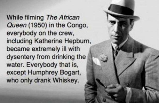 daily picdump 101 pics 9.html - 101 HD Photos | Premium Gallery 2018