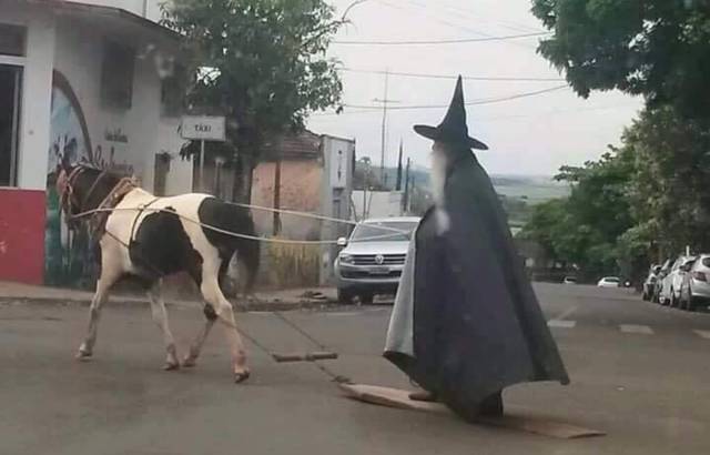 daily picdump 101 pics 9.html - 101 HD Photos | Premium Gallery 2018