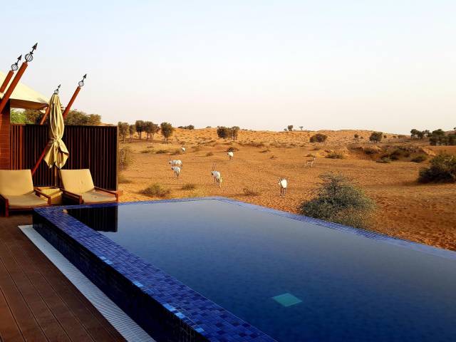 daily picdump 101 pics 9.html - 101 HD Photos | Premium Gallery 2018