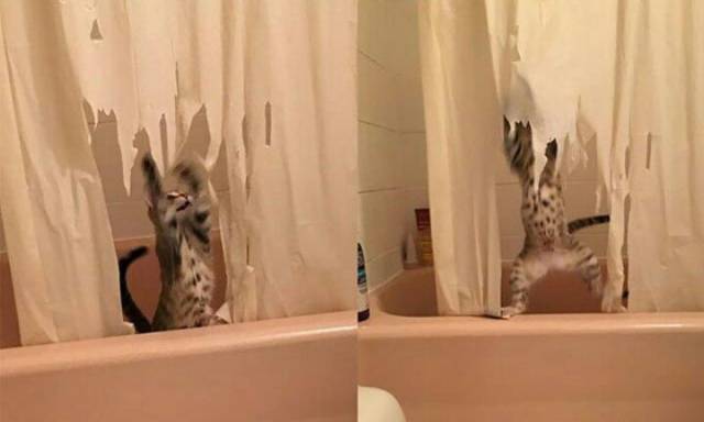 daily picdump 101 pics 9.html - 101 HD Photos | Premium Gallery 2018