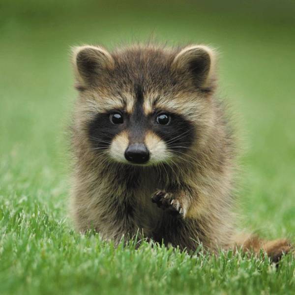 daily picdump 101 pics 9.html - 101 HD Photos | Premium Gallery 2018