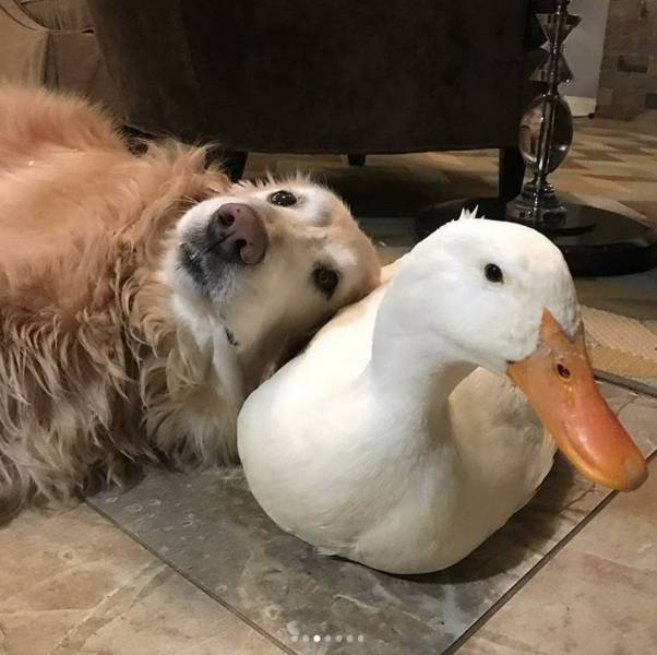 daily picdump 101 pics 9.html - 101 HD Photos | Premium Gallery 2018