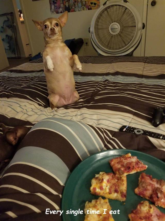 daily picdump 101 pics 9.html - 101 HD Photos | Premium Gallery 2018