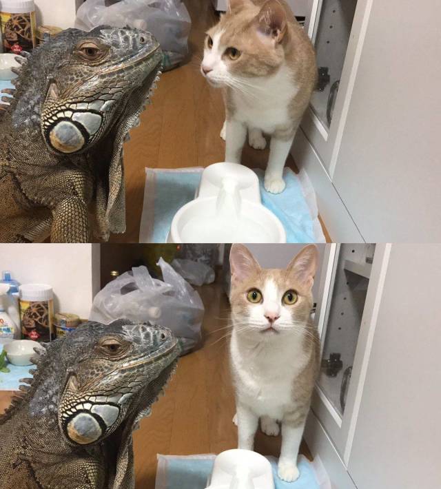 daily picdump 101 pics 9.html - 101 HD Photos | Premium Gallery 2018